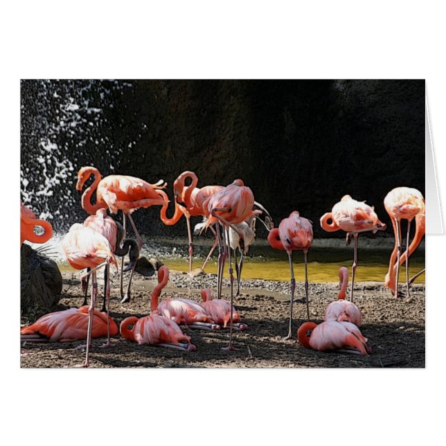 Cartão Flamingo cor-de-rosa (Frente horizontal)