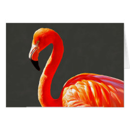 Cartão Flamingo Cor-de-rosa-laranja vibrante