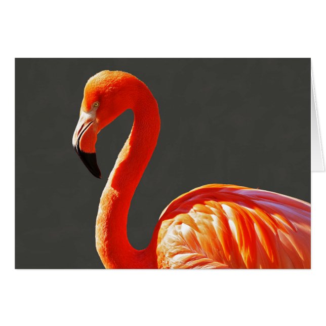 Cartão Flamingo Cor-de-rosa-laranja vibrante (Frente Horizontal)