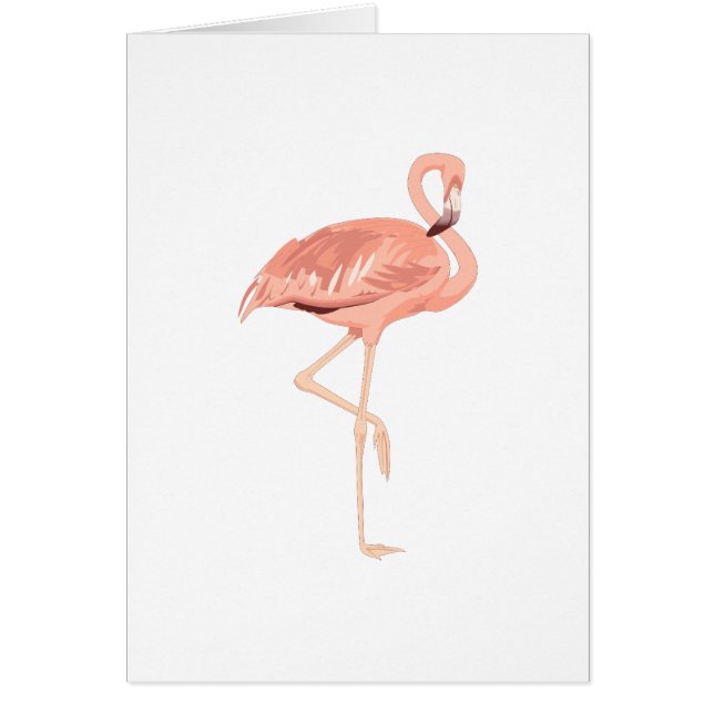 Cartão Flamingo de Freddy (Frente)