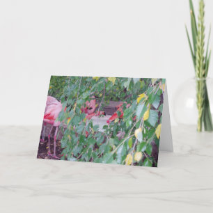 Cartão "Flamingo Habitat" Thank You Card