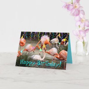 Cartão Flamingo Party Birds Happy Birthday Card