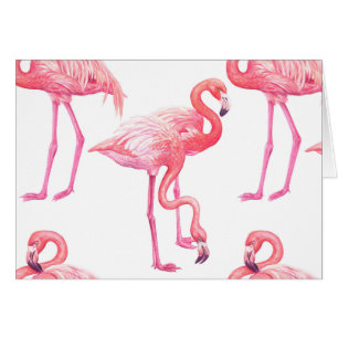 Cartão Flamingos