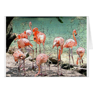Cartão Flamingos