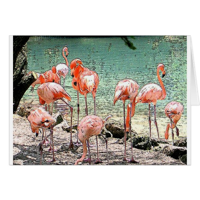 Cartão Flamingos (Frente Horizontal)