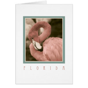 Cartão Flamingos