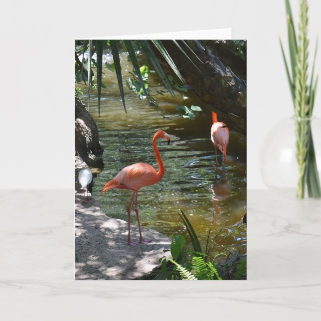 Cartão Flamingos Rosa (Frente)