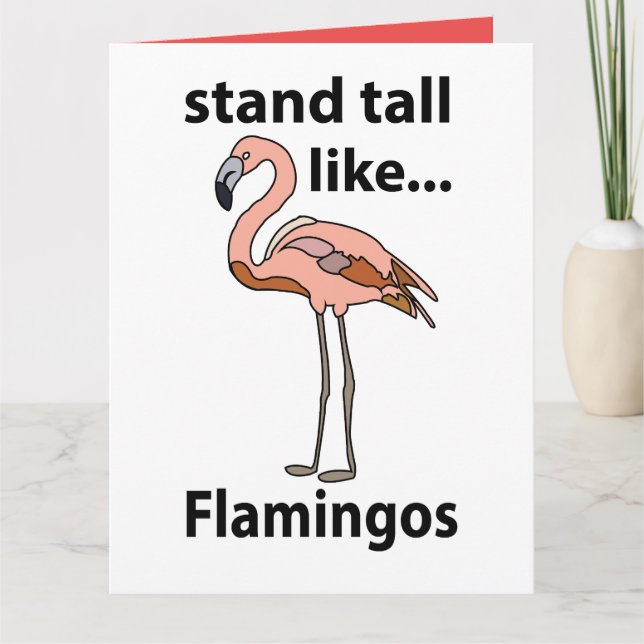 Cartão Flamingos São Altos Como Flamingos Flamingo (Frente)
