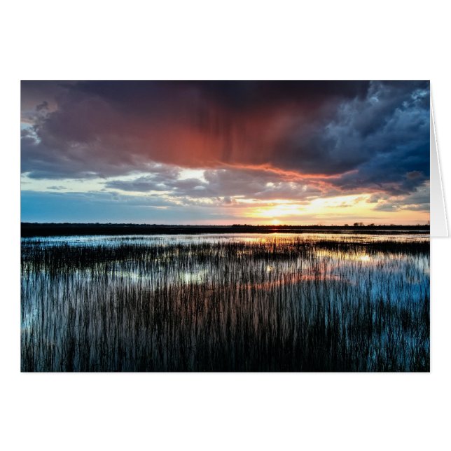 Cartão Flash (Frente horizontal)