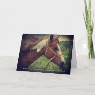 Cartão Flashy com Cotação