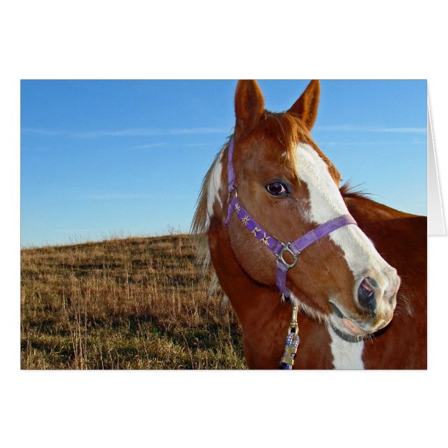 Cartão Flashy em Nebraka (Frente Horizontal)