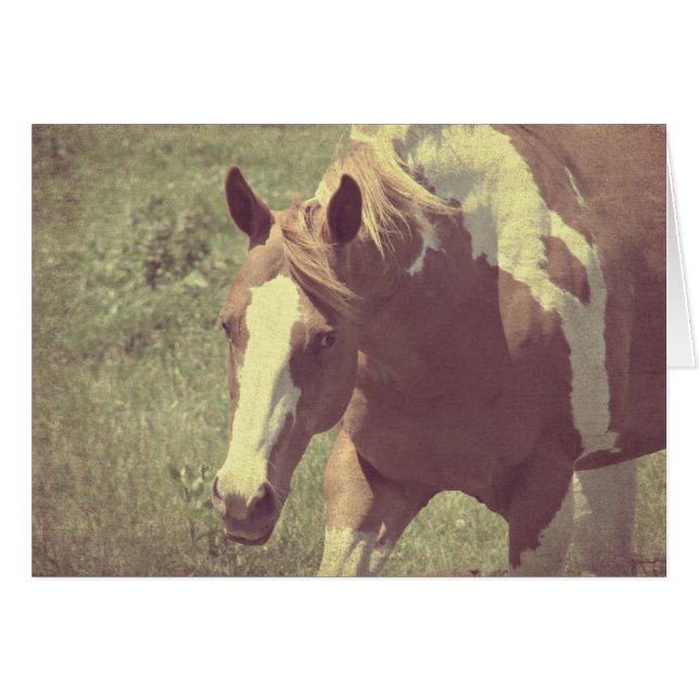 Cartão Flashy Faux Vintage (Frente Horizontal)