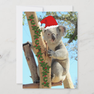 Cartão Flat Koala Christmas