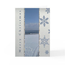 Flocos de Neve de Inverno Elegantes