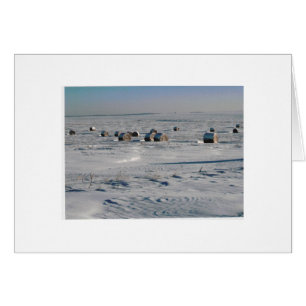 Cartão flocos do fosco