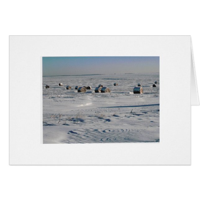 Cartão Flocos foscos (Frente horizontal)