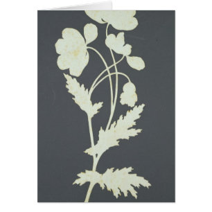 Cartão Flor