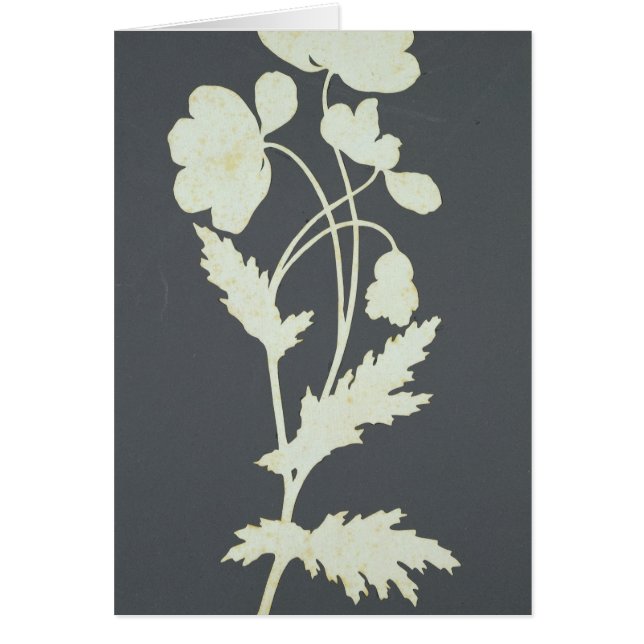 Cartão Flor (Frente)