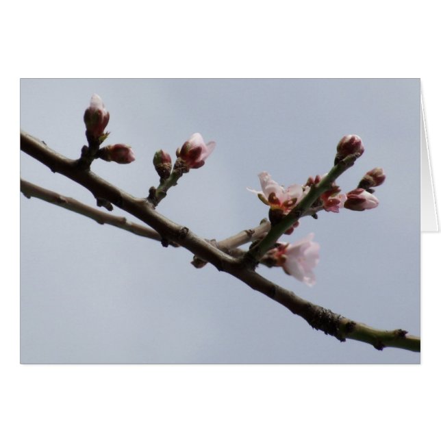 Cartão Flor (Frente Horizontal)