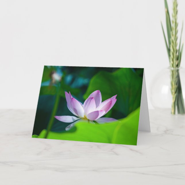 Cartão Flor #0417 (Frente)