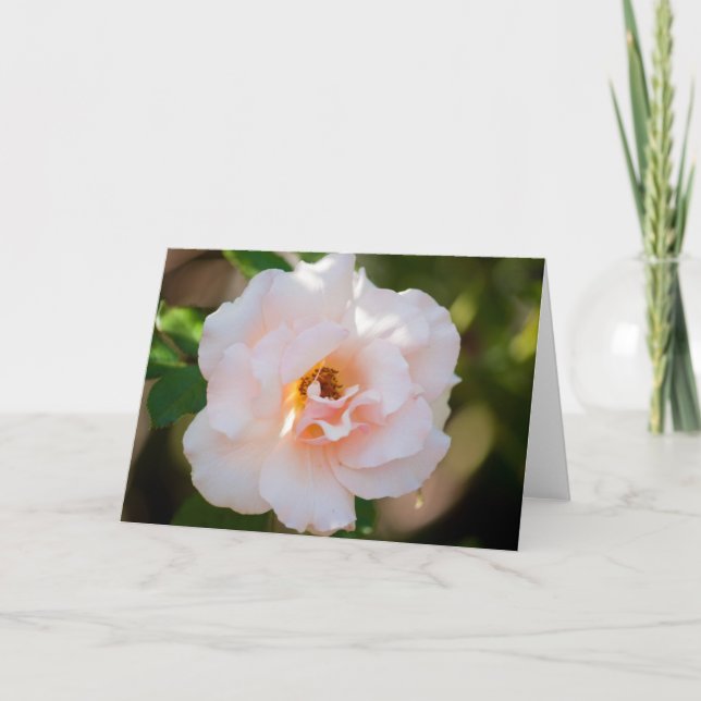 Cartão Flor #0724 (Frente)