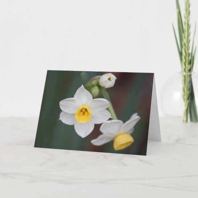 Cartão Flor #1579 (Frente)