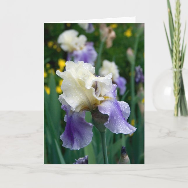 Cartão Flor #2090 (Frente)