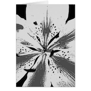Cartão flor abstrato branca e preta invulgar