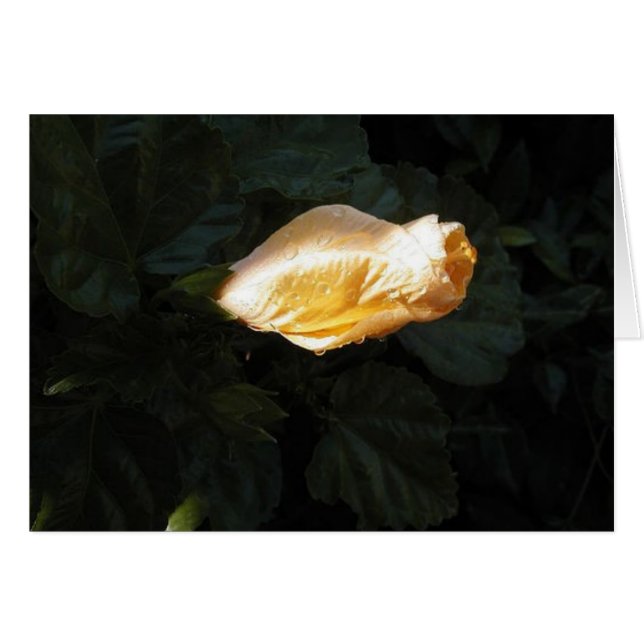 Cartão Flor amarela (Frente Horizontal)