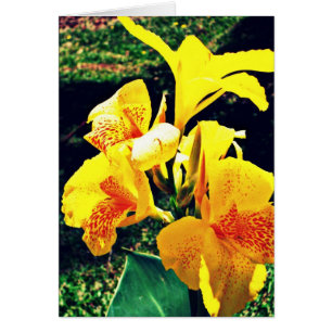 Cartão Flor amarela