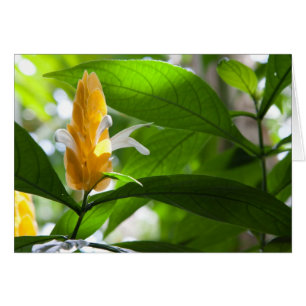 Cartão Flor amarela