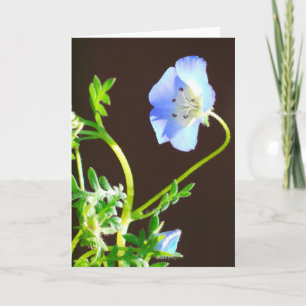 Cartão Flor Azul