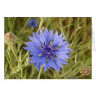 Cartão Flor Azul
