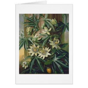 Cartão Flor azul da paixão para o "templo da flora" por R