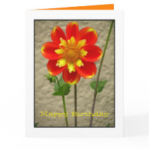 Flor bonita do amarelo alaranjado