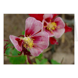 Cartão Flor bonito