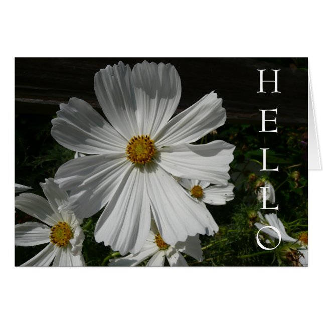 Cartão flor branca (Frente Horizontal)