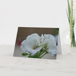 Cartão Flor branca