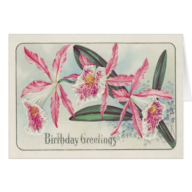 Cartão Flor Branca Cor-de-Rosa (Frente Horizontal)