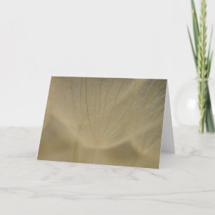 Cartão Flor branca Wispy