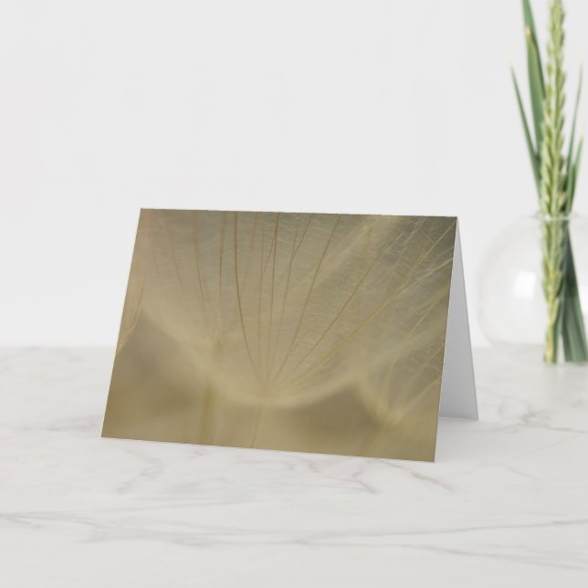 Cartão Flor branca Wispy (Frente)