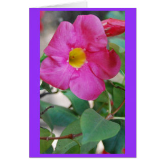 Cartão Flor cor-de-rosa