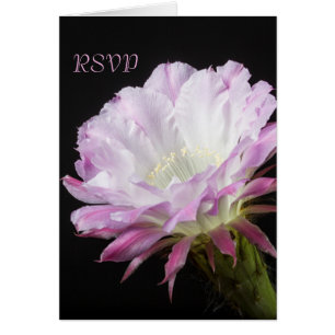Cartão Flor cor-de-rosa de Cactus em RSVP floral