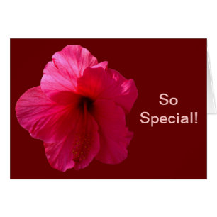 Cartão Flor cor-de-rosa do hibiscus