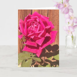 Cartão Flor Cor-de-rosa rosa rosa-rosa colorido