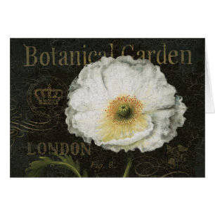 Cartão Flor da papoila branca