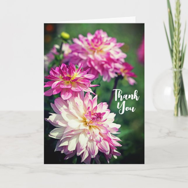 Cartão Flor Dahlia Rosa e Branca Obrigado (Frente)