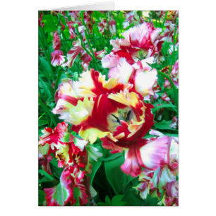 Cartão Flor das tulipas