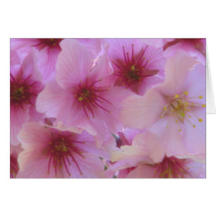 Cartão Flor de Amor