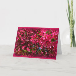 Cartão Flor de Árvore de Caranguejo Ocasionalmente